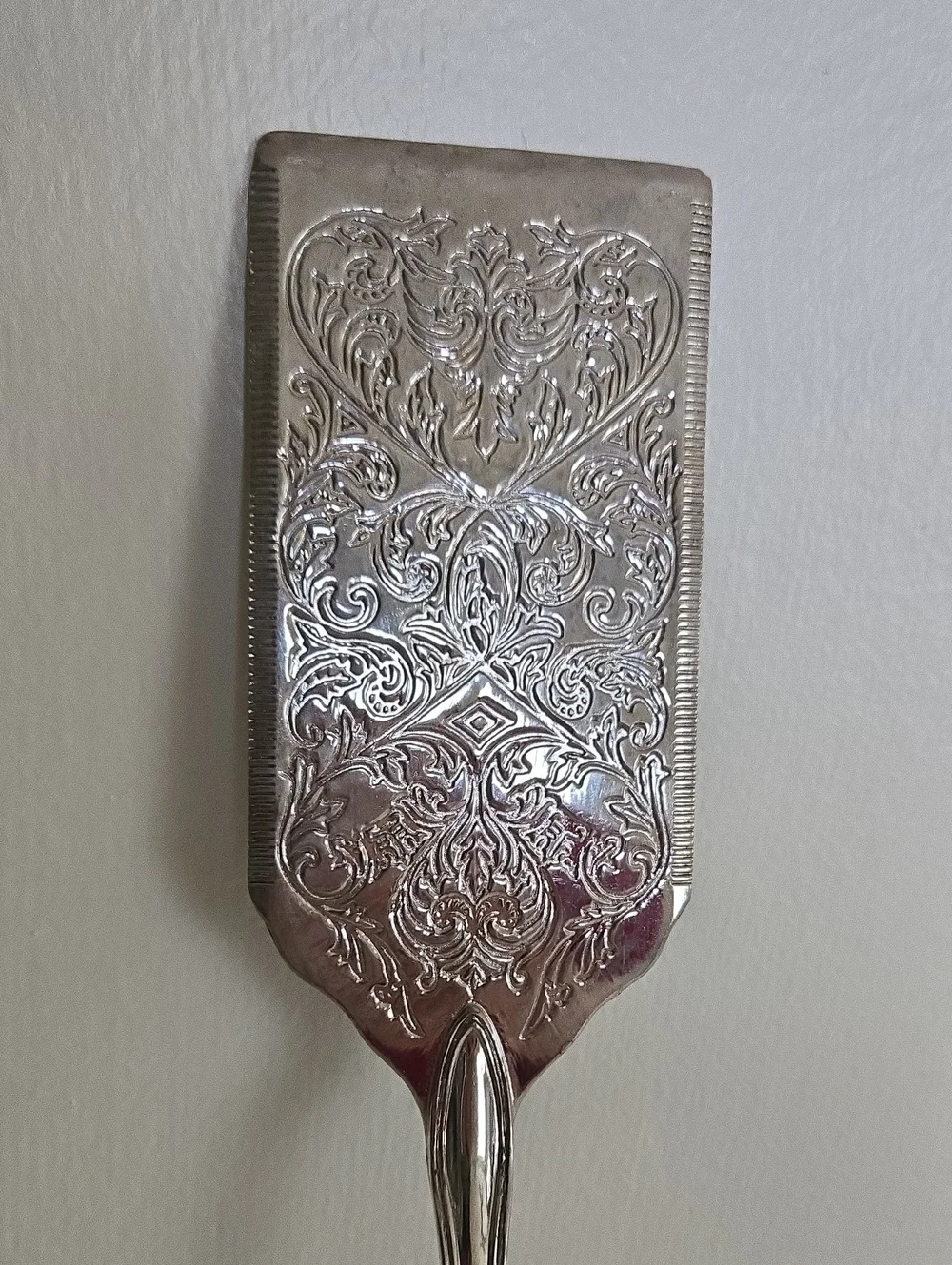 Silver Serving Spatchler